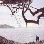 find the baby optical illusion