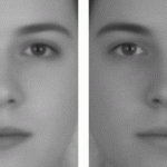 male face female face