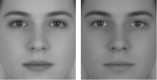 male face female face