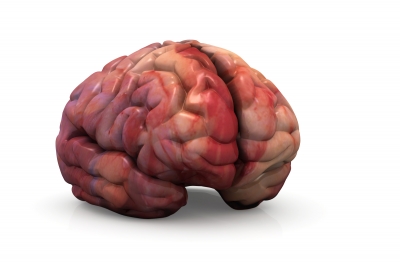 the human brain conscious vs unconscious