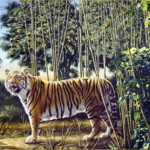 optical illusion hidden tiger
