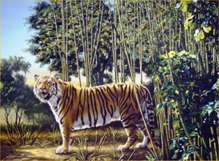 optical illusion hidden tiger
