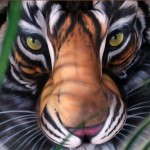 tiger illusion craig tracy