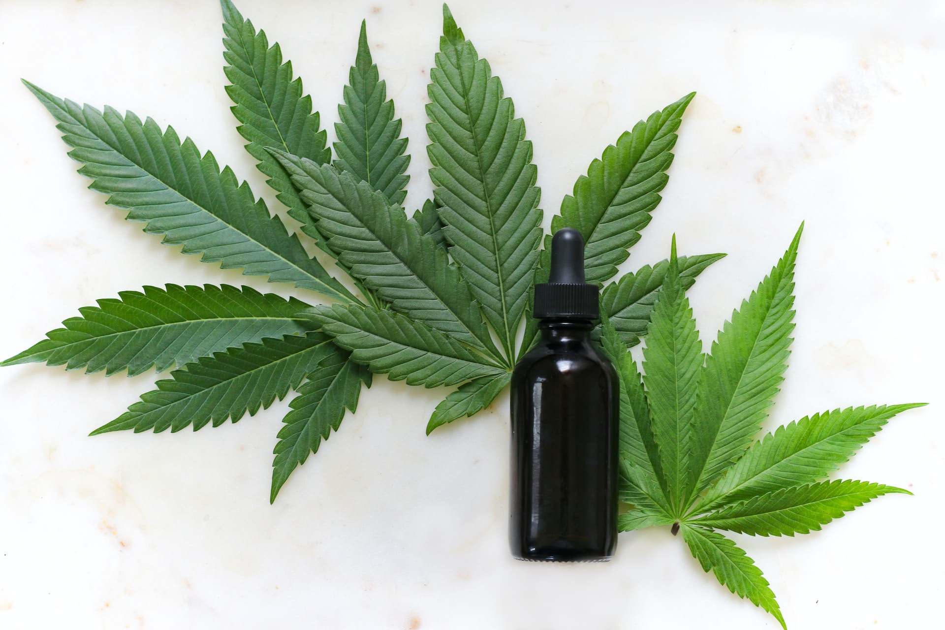 CBD vs THC for mental health