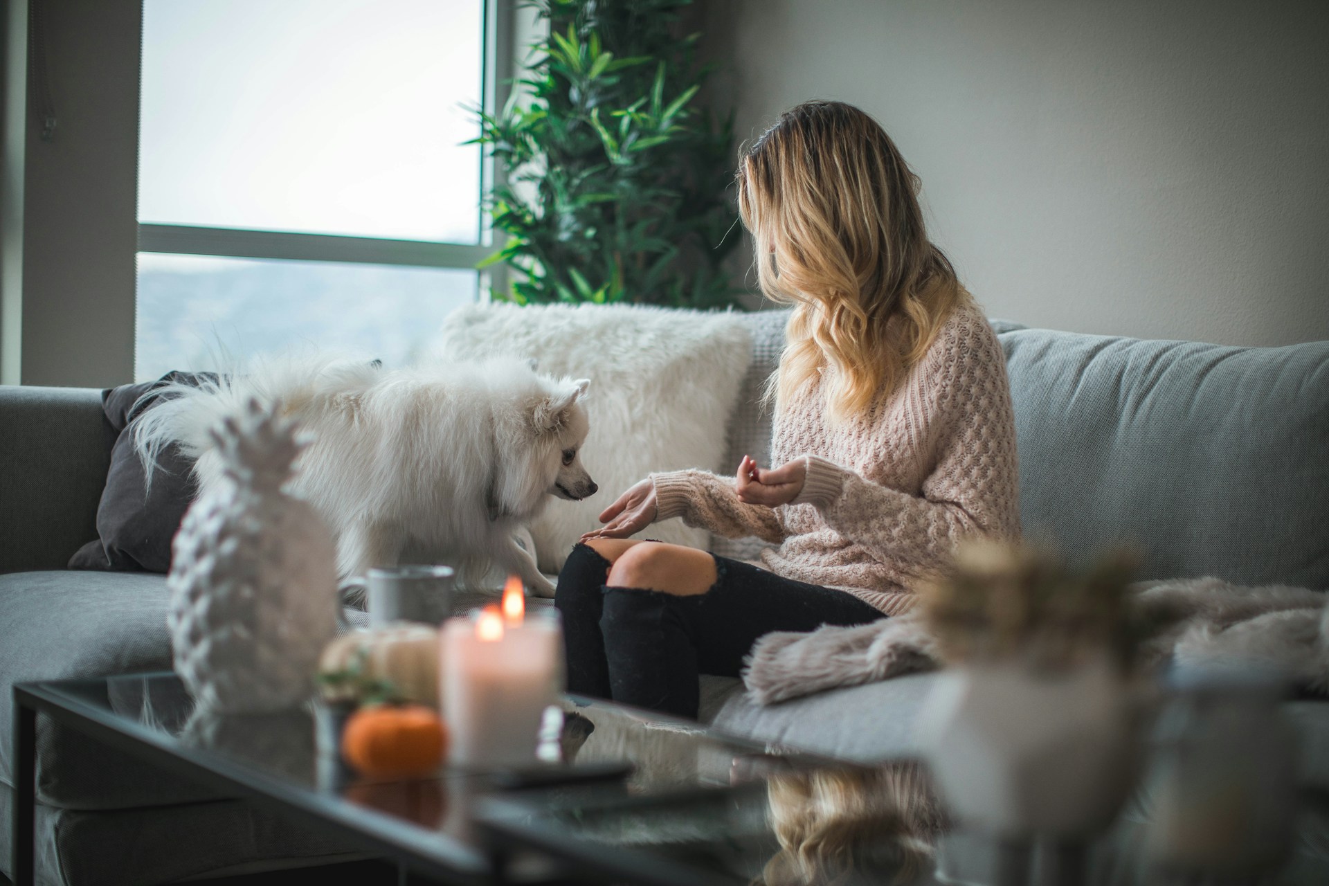 A woman spending time with her dog during a digital detox